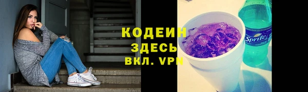 дурь Алексин